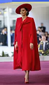 TIM ROOKE/SHUTTERSTOCK