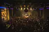 U suradnji s gitaristom Davorom Doležalom u bendu Homage Collective okupljeni su vrhunski domaći instrumentalisti i vokalisti