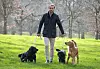James Middleton sasvojim psima Lunom, Inkom, Ellom i Mabel