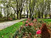 Park bana Jelačića u Glini