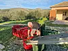 Odmah nakon berbe, kašete s maslinama prevoze se u uljaru u mjestu Brodarica, na hladno prešanje
