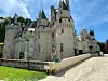 Dvorci Loire