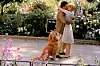 Tom Hanks & Meg Ryan