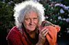 Brian May posvetio se spašavanju divljih ježeva.
