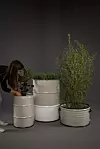 Posude za biljke imaju sustav odvodnje koji sprječava odumiranje korijena zbog prevelike vlage.