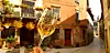 Vodnjansko vino