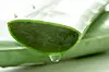 Listovi aloje