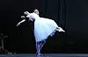 Balet Giselle HNK, Tomislav Petranović i Asuka Mauro