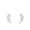 Aldo, Seviedan, 21 Eur