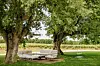Rajski ugođaj usred maslinika i vinograda