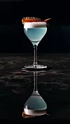 Recept za Gin Magellan