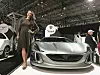 Osam godina je bila operativna direktorica Rimac Automobila te je na brojnim sajmovima predstavljala njihov Concept One