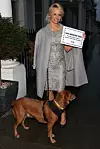 U pratnji spasilačkog psa Zorroa s peticijom za provedbu programa sterilizacije i kastracije pasa lutalica na Mauricijusu
