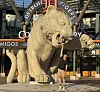 Ispred stadiona Detroit Tigersa