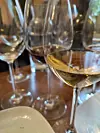 Na proglašenju najboljih vina kušala su se nagrađena te vina udruge Kvarner Wines.