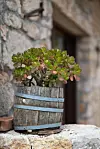 Luka Gerlanc/CROPIX
