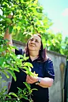 A mama Biserka u zadnjem je razgovoru sa svojom voljenom kćeri pričala o tome kako napreduju maline, kupine i ribiz te jabuka i smokva u njihovu vrtu.