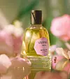 DR. VRANJES FIRENZE Petaloso odiše ružinom marmeladom ‘začinjenom‘ paprom i osmantusom EdP 100 ml, 185 eura