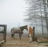 Serija 'Jedna za dušu'
