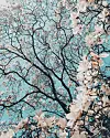 Unsplash