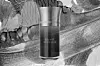 Les Liquides Imaginaires Beauté du Diable, 100 ml 250€