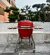 Barbeca nudi širok izbor kamado roštilja