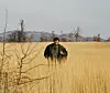 Film je nastao u koprodukciji čak šest zemalja – Srbije, Francuske, Njemačke, Hrvatske, Slovenije i Bosne i Hercegovine, a hrvatski su producenti Lana Matić i Boris T. Matić iz Propeler Filma.
