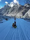 36038581