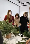 Anita Dujić, Ana Bacinger i Tina Bačić