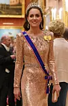 Jedna od prigoda u kojoj je zabljesnula u ‘spornoj‘ haljini bilo je diplomatsko primanje u Buckinghamskoj palači u prosincu 2023.