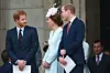 Princ Harry, Kate Middleton i prince William