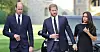 Princ William, princ Harry i Meghan Markle