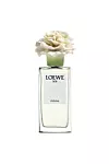LOEWE 001 Woman