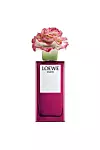 LOEWE Earth