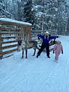 Voziti se na sanjkama koje vuku sobovi posebno je iskustvo