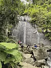El Yunque je tropska prašuma u unutrašnjosti otoka.