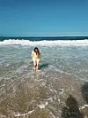 Plaže su je osvojile