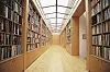 U središtu stana je velika biblioteka okupana svjetlom