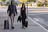 FILM STILLS/PROFIMEDIA
