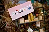 ADVENT+