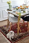 BERISLAVA PICEK/CROPIX